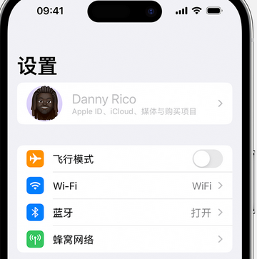 九真镇appleID维修服务iPhone设置中Apple ID显示为灰色无法使用