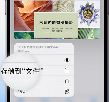 九真镇apple维修中心分享iPhone文件应用中存储和找到下载文件