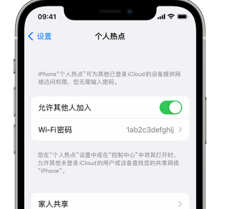 九真镇apple服务站点分享iPhone上个人热点丢失了怎么办 