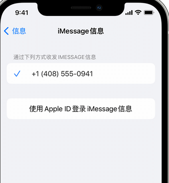 九真镇apple维修iPhone上无法正常发送iMessage信息 