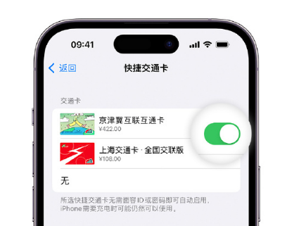 九真镇apple维修点分享iPhone上更换Apple Pay快捷交通卡手绘卡面 