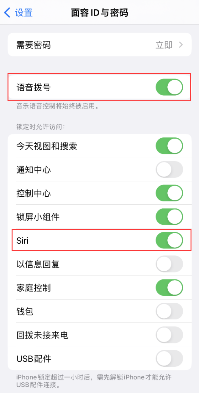 九真镇苹果维修网点分享不解锁 iPhone 的情况下通过 Siri 拨打电话的方法 