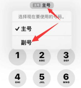 九真镇苹果14维修店分享iPhone 14 Pro Max使用副卡打电话的方法 