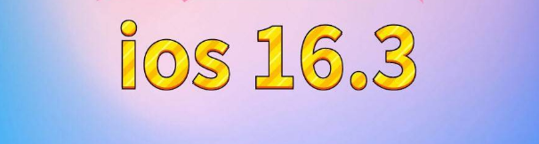 九真镇苹果服务网点分享苹果iOS16.3升级反馈汇总 