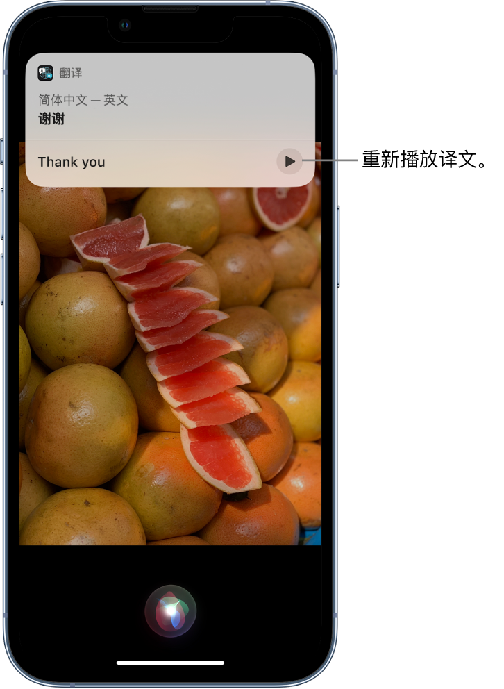 九真镇苹果14维修分享 iPhone 14 机型中使用 Siri：了解 Siri 能帮你做什么 