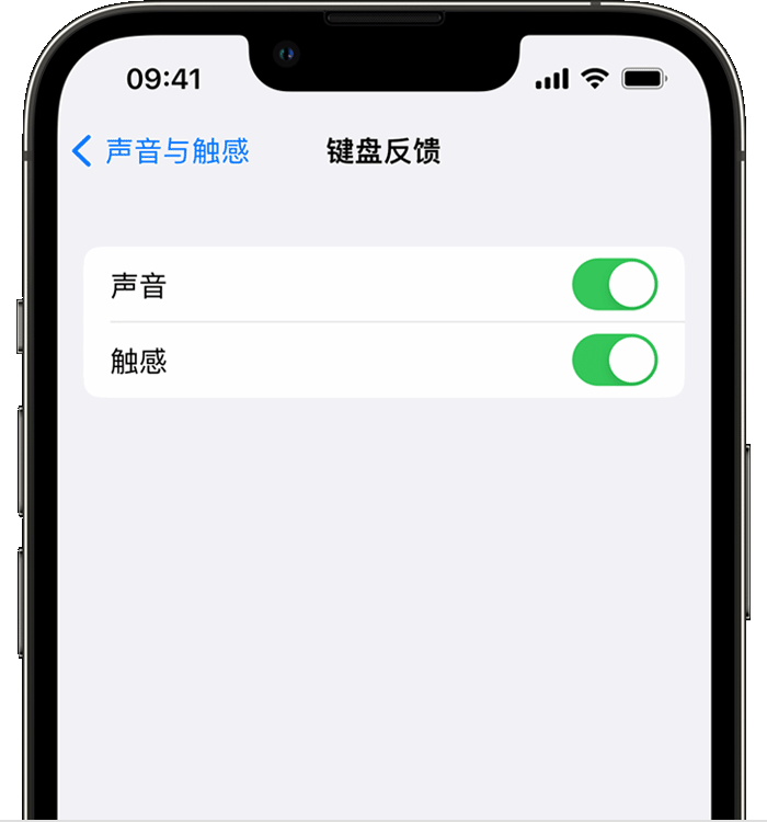 九真镇苹果14维修分享iPhone 14 系列机型如何开启键盘声音或触感反馈 