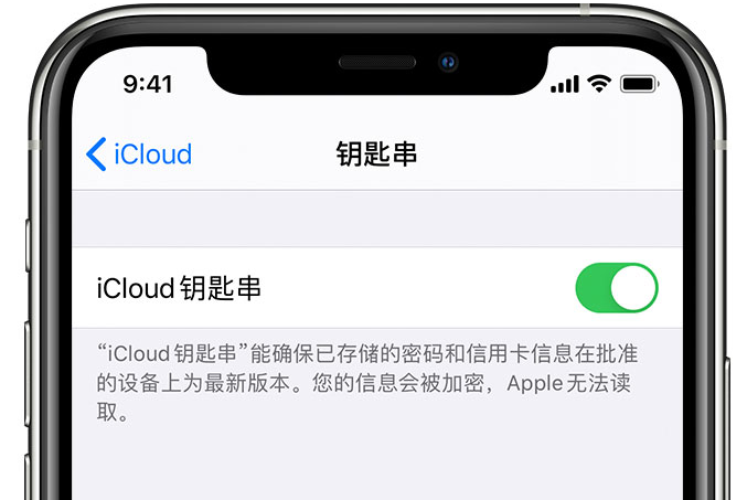 九真镇苹果手机维修分享在 iPhone 上开启 iCloud 钥匙串之后会储存哪些信息 