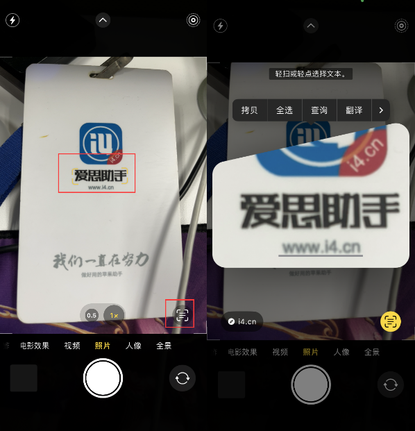 九真镇苹果手机维修分享升级iOS 16后如何通过相机翻译文本 