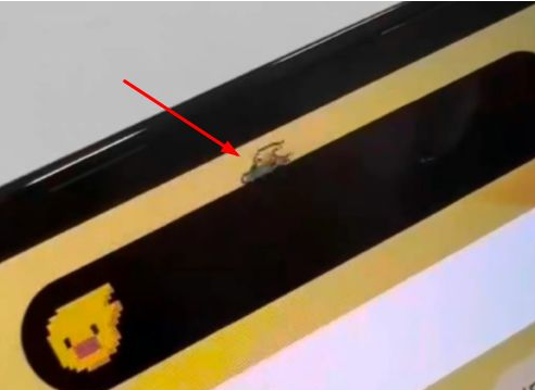 九真镇苹果14维修分享iPhone 14 Pro Max灵动岛怎么养宠物 