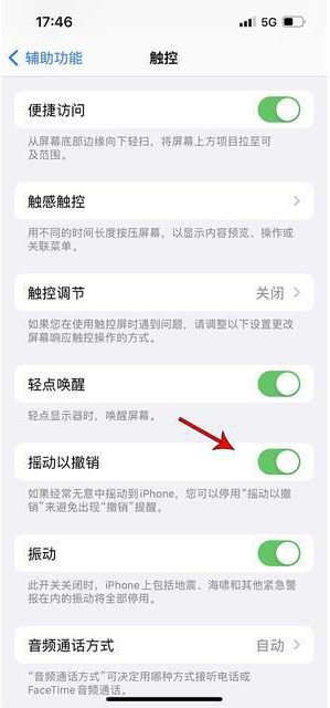 九真镇苹果手机维修分享iPhone手机如何设置摇一摇删除文字 