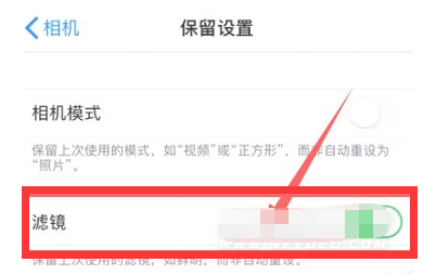 九真镇苹果13维修分享iPhone13拍照有绿点是怎么回事 