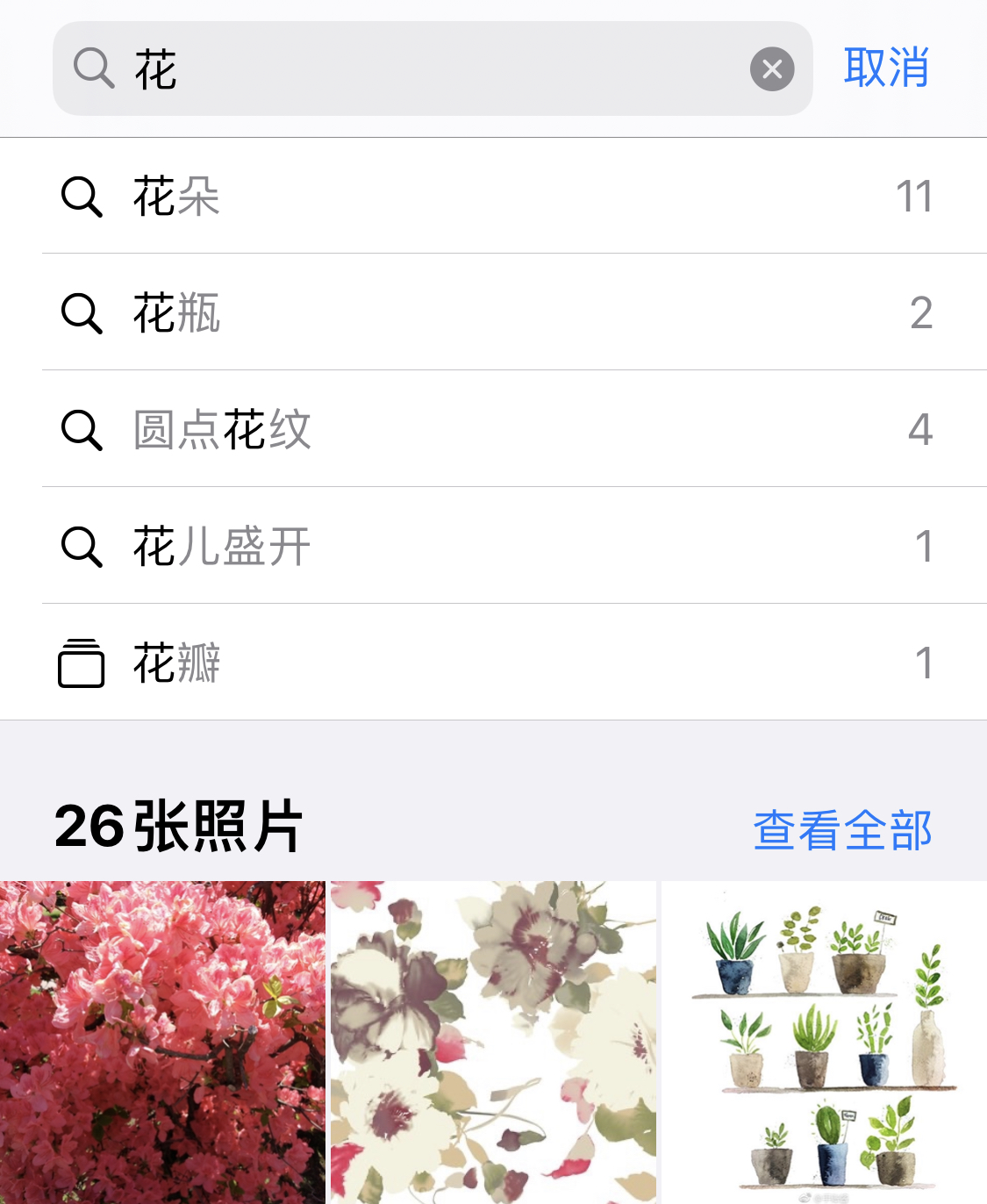 九真镇苹果手机维修分享iPhone 小技巧 