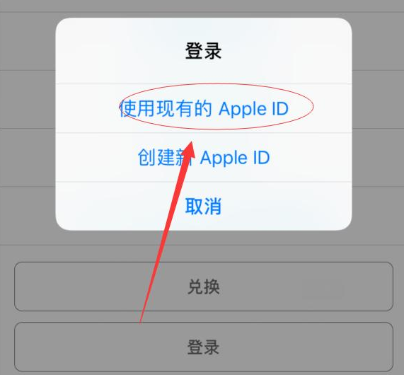九真镇苹果手机维修分享两台iPhone设备可以同时登录一个Apple ID吗 