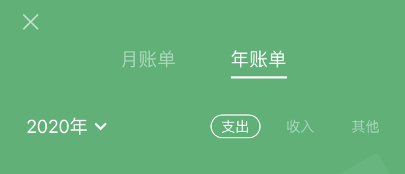 九真镇苹果手机维修分享如何在 iPhone 上查看支付宝和微信年支出账单 